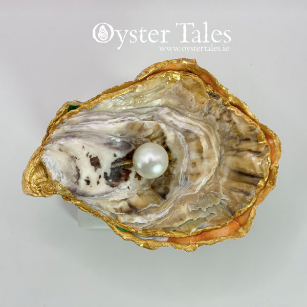 Oyster shell dish with lid