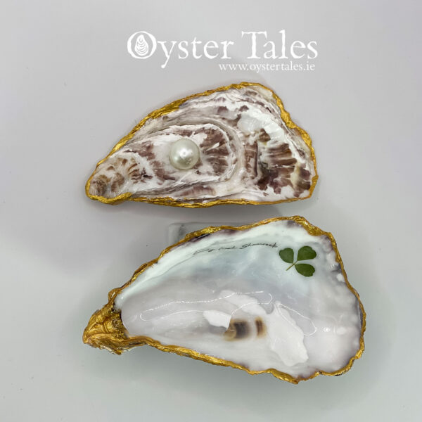 Real Irish Shamrock in a genuine Irish Oyster