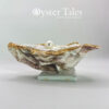 Galway Bay Oyster Shell Jewellery Dish