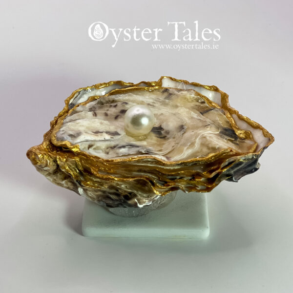 Oyster shell from Galway Bay with lid