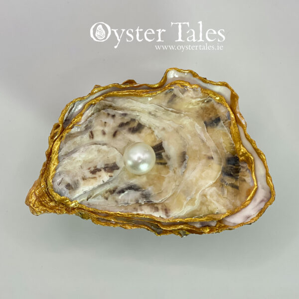 Oyster shell ring box with lid made from oyster shells from Irelands wild Atlantic Way