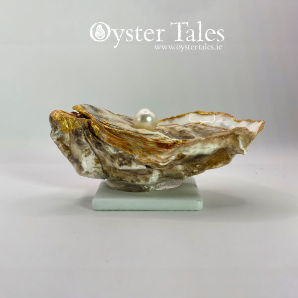 Oyster shell Ring/trinket dish