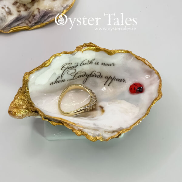 Oyster shell art - ring/jewellery dish. Made in Ireland.