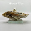 Ring/trinket dish made with real Oyster shell.