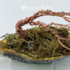 The windy Tree - copper wire scuplture on an oyster shell base.